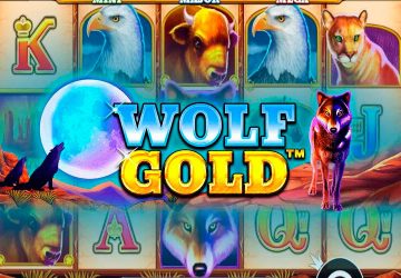 Игровой автомат Wolf Gold в Drip казино